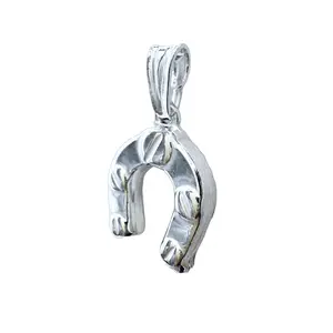 Sterling Silver Horseshoe Pendant Necklace