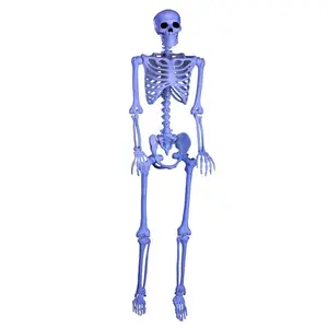 Blacklight 60 Inch Ghostly Skeleton Prop