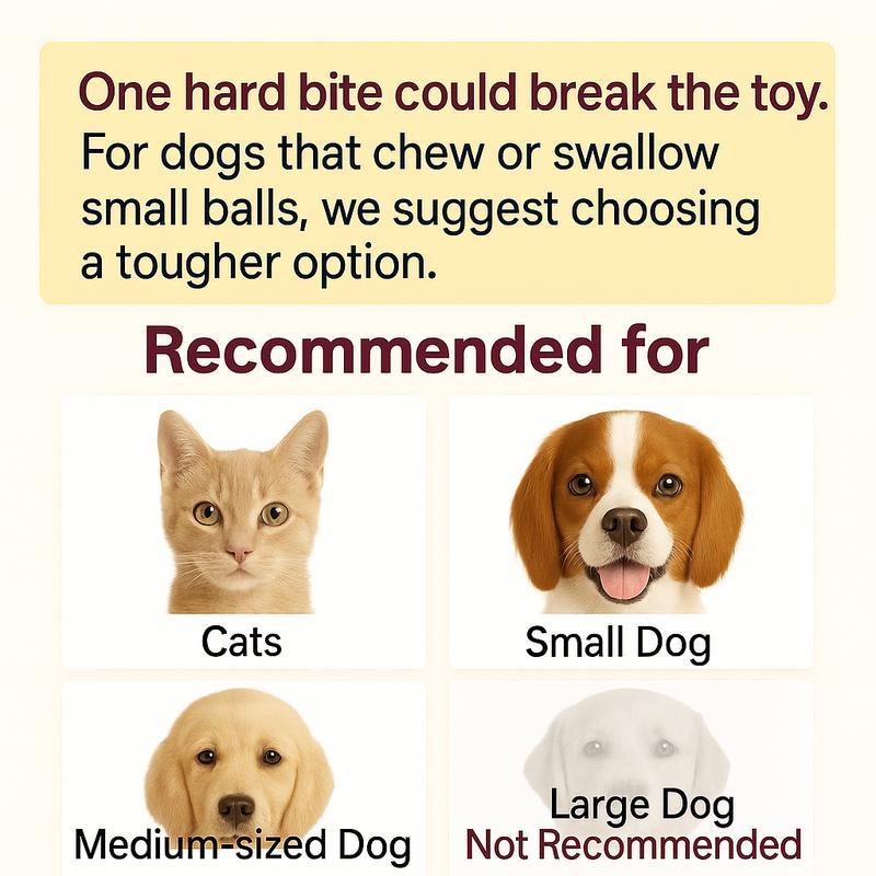 【FREEShip】Cat & Dog Need Toy - Interactive USB Rechargeable  Ball Toy on Rug with Bird Chirping, Pet Fun Companion Toy Electronic with Sound and Light Cat and Dog Companion Toy-Anti-Depression Fun Gift for Cats & Dogs