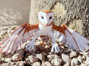 3D printed articulated Barn Owl fidget desk toy | sensory | Articulated Animal Toy | Articulated Fidget Toy | Desk Accessory Decor Ornaments Decoration