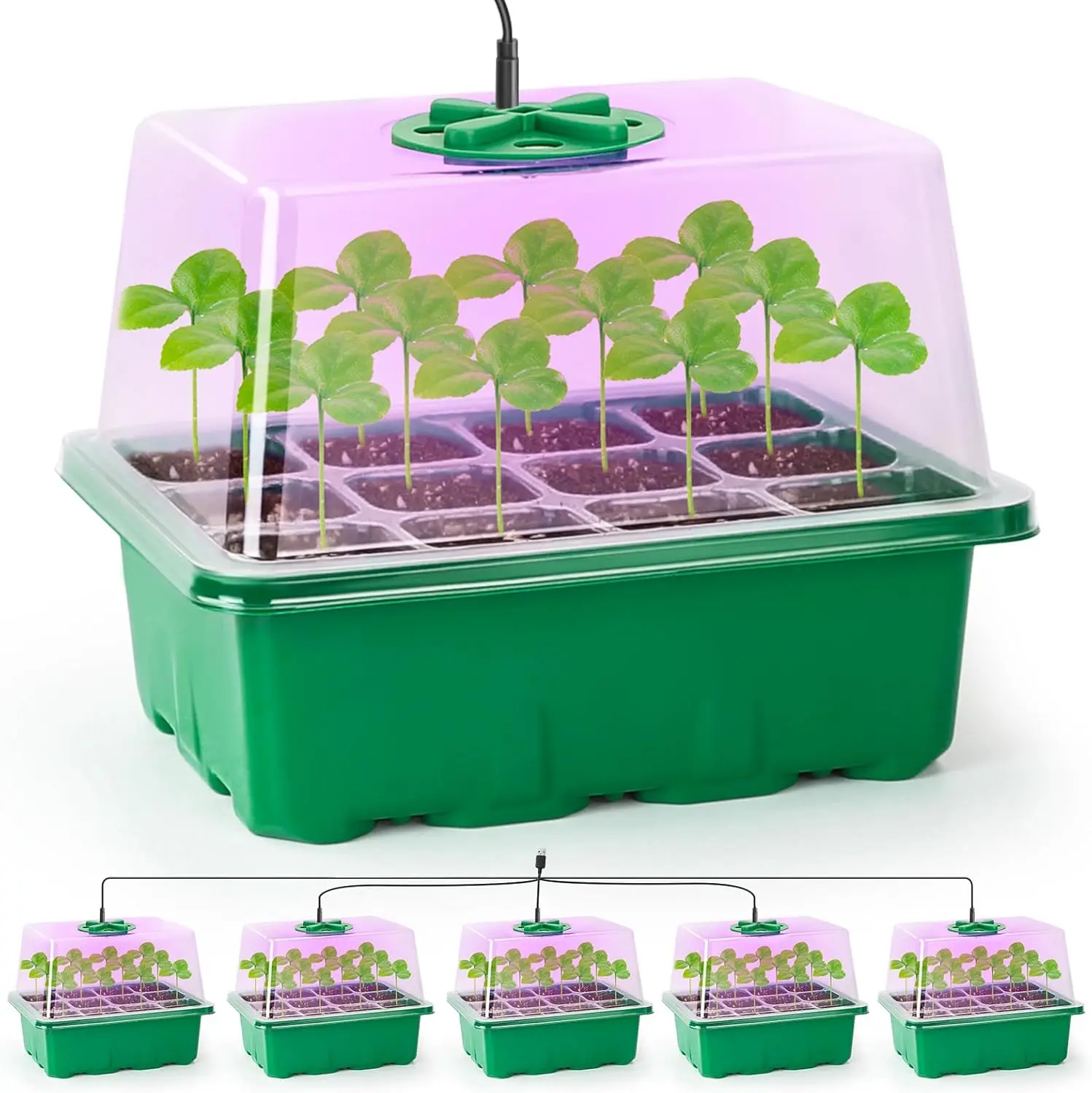 Grow Light Indoor Seed Starter Kit