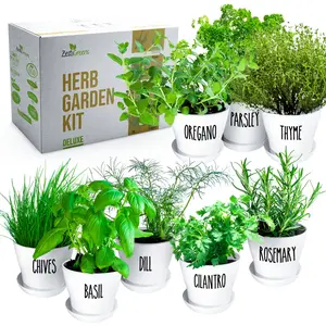 ZESTIGREENS Deluxe Herb Garden Kit - Home Planting Seeds Set with 8 Popular Herbs, Pots, Potting Soil & Instructions for Indoor, Outdoor Use