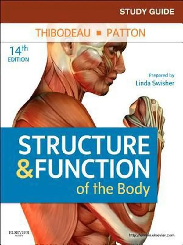 USED-Study Guide for Structure & Function of the Body by Kevin T. Patton PhD (Paperback)