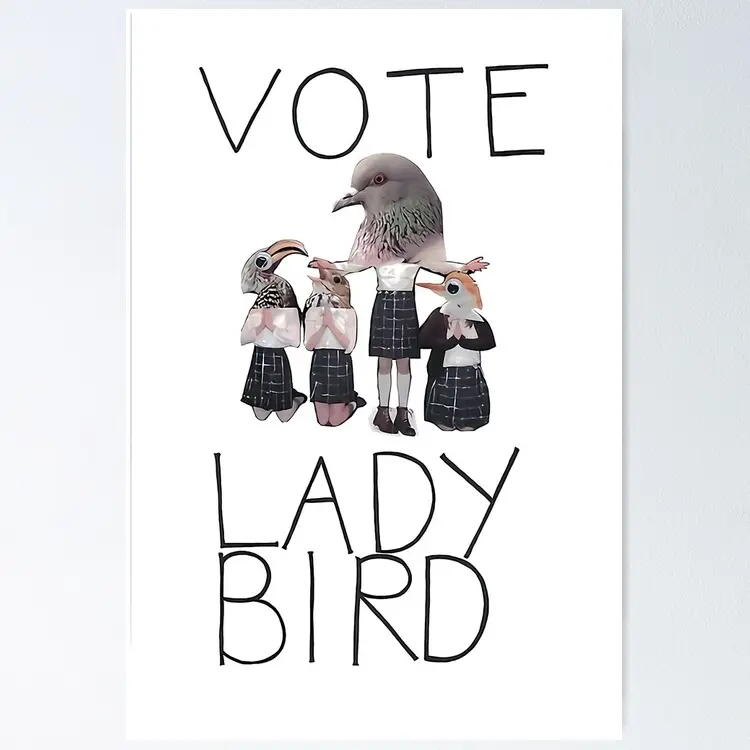 [SALE UP TO 50%] Votez Lady Bird - Poster UNFRAMED AESTHETIC CANVAS POSTER