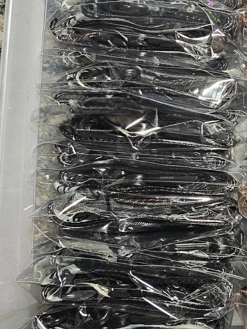 New SUP Lanyard with swivel clasp
