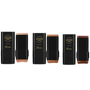 Viral TikTok Holiday 2 in 1 Dual Ended Foundation Stick Waterproof Concealer Highlighter Full Coverage for Acne Nose Contour Long Lasting Gift