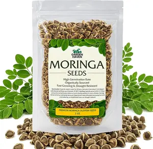 Moringa Seeds 2 oz (200+ Seeds) | PKM1 Premium Quality | Edible Snacking & Planting | Non-GMO | Moringa Oleifera | Semillas De Moringa | Malunggay | Drumstick Tree Seeds | Garden Haven