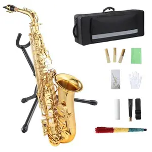 GAOMON Alto Saxophone Package for All Levels (E Flat) - Complete Beginner-to-Professional Kit with Carrying Case, Neck Strap, Reeds, Stand, and Cleaning Accessories