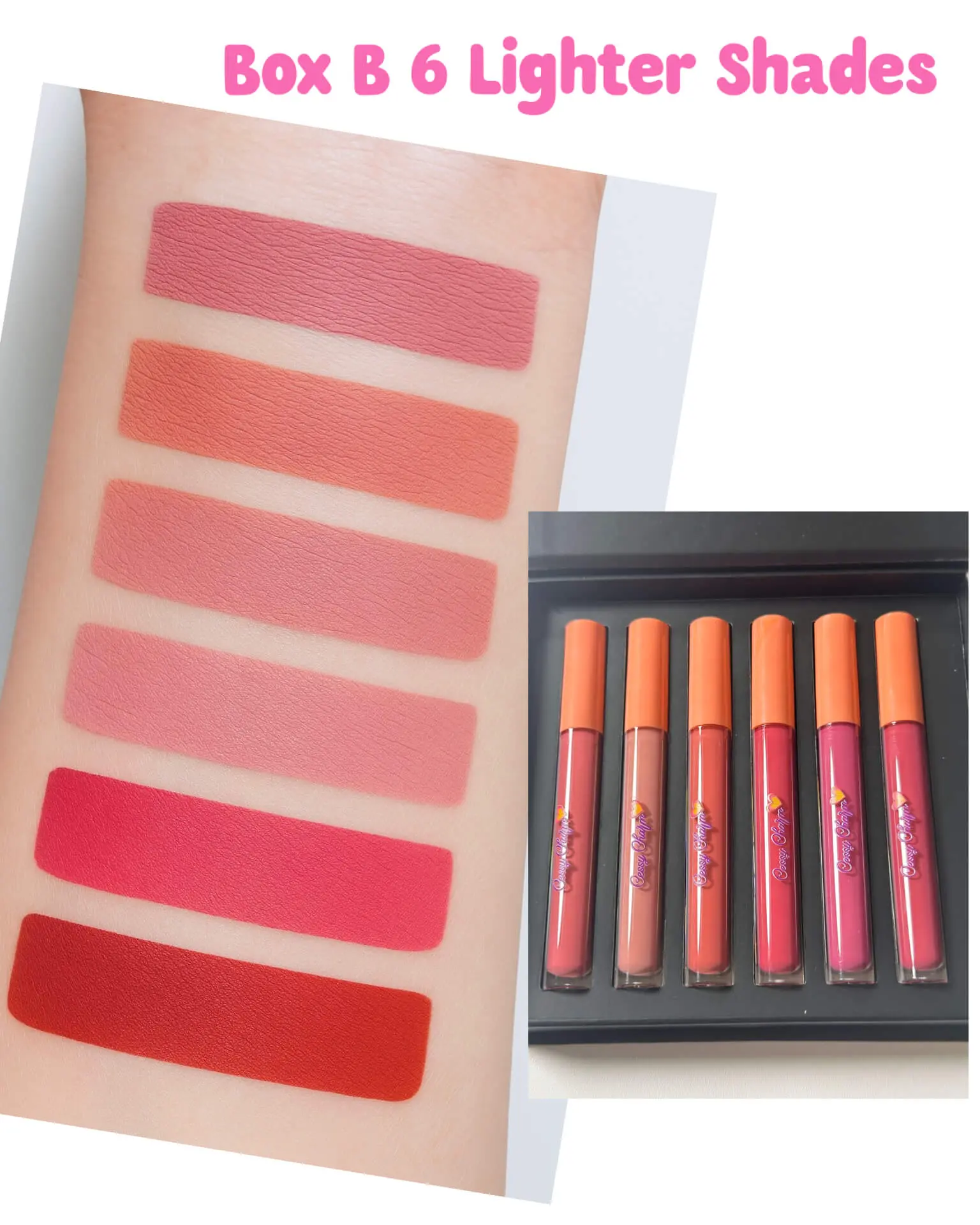 CESSY CHARM COSMETICS Matte Liquid Lipstick Set - 2.5ml Makeup Collection with Normal Lipstick, Lip Gloss & Single Item Options for Daily Wear, Box A Brighter Shades