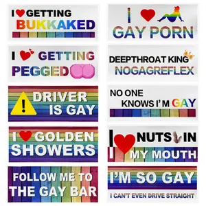 10 PCS Bumper Decals, Waterproof Magnetic Stickers Funny LGBT Auto Window Prank Decoration, Colorful Humor Text Gay Pride Decals for Cars Trucks Sedans, Car Accessories (Style 2)