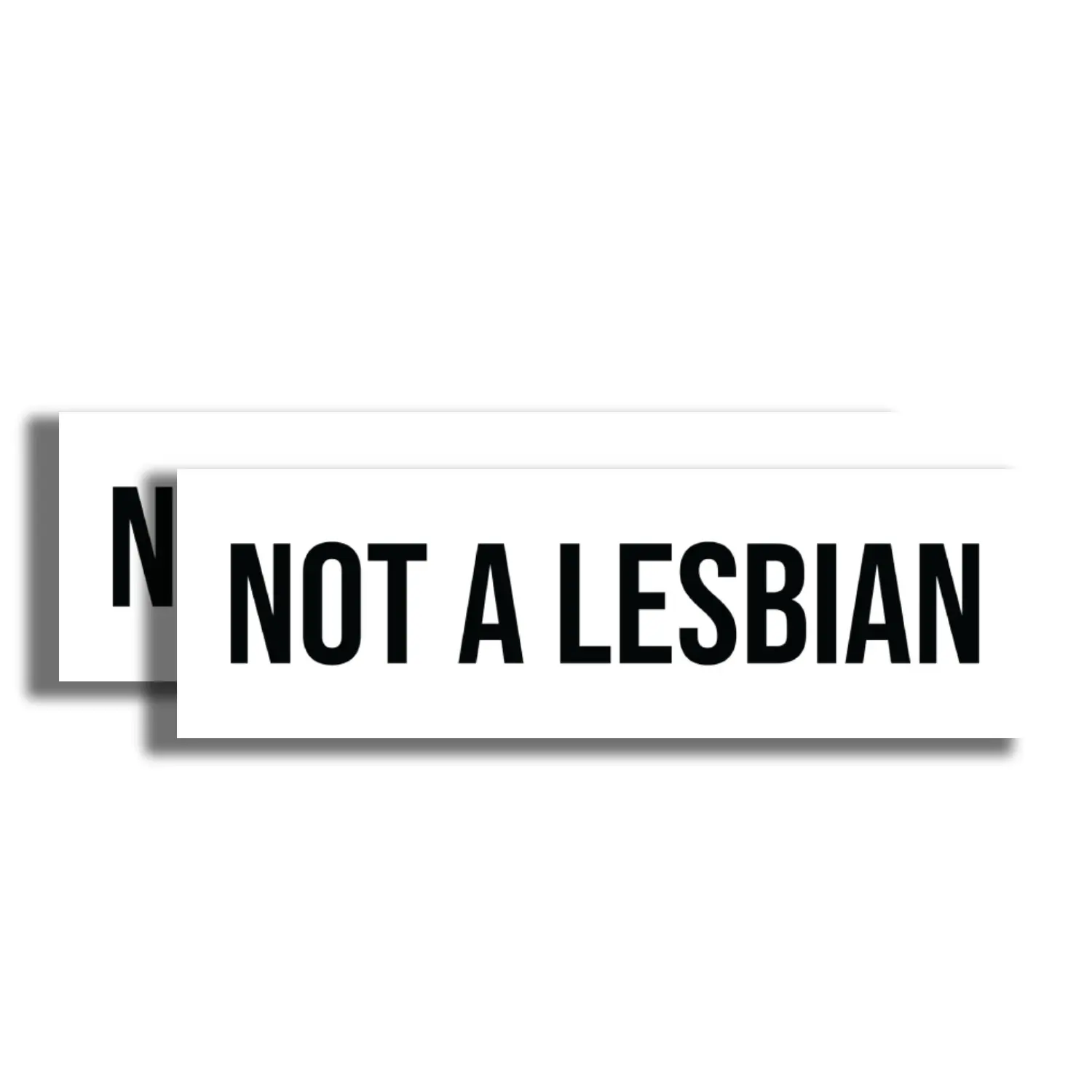 Not a Lesbian Sticker - Funny Lesbian Joke Subaru Meme - 2 Pack Bumper Stickers - 10 Inch Bumper - Car Truck Locker Toolbox Decor Gift - EPLS0121