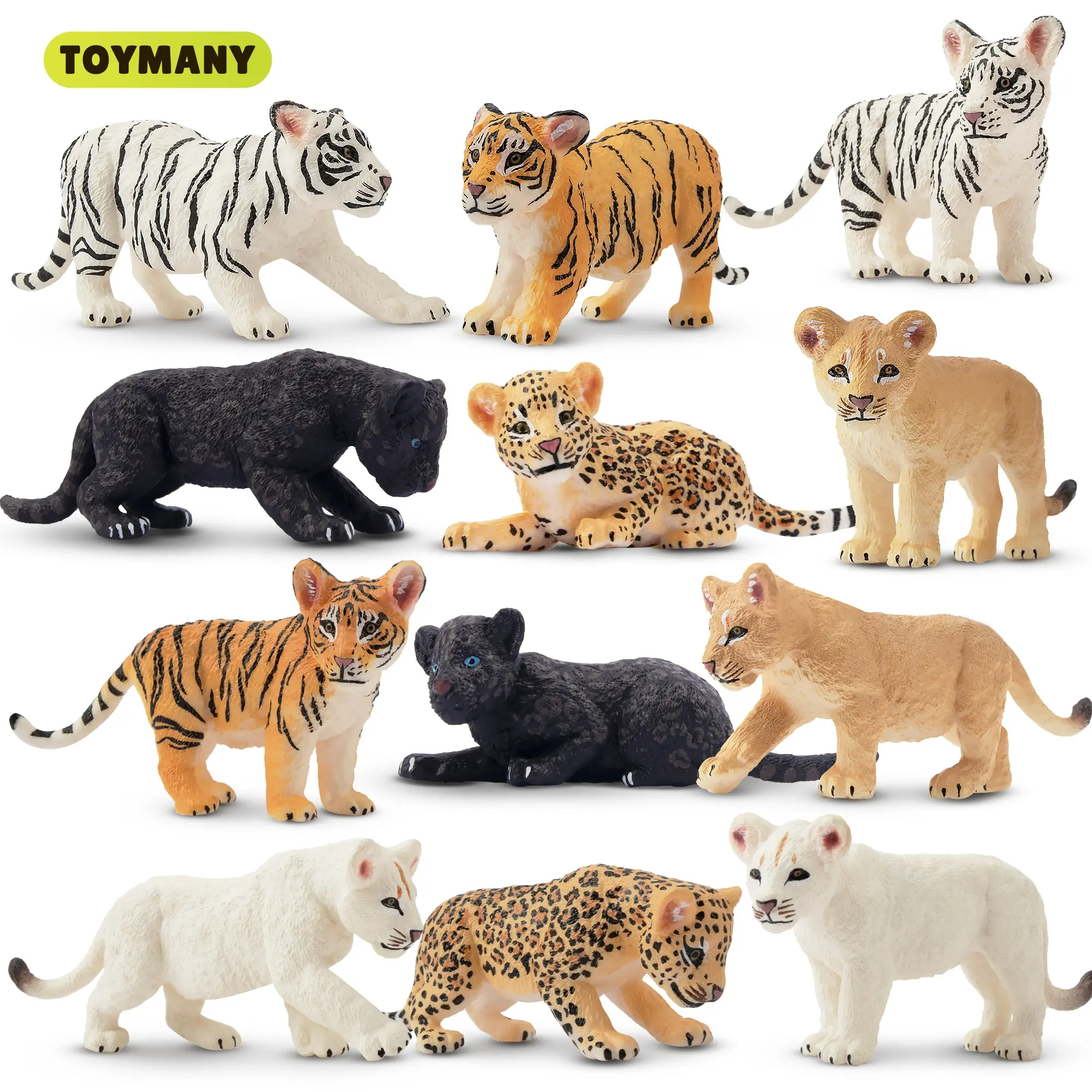 TOYMANY 12-Piece Colorful High-Emulation PVC Plastic Action Figures Set, Unisex Manipulatable Boxed Collectible Animal Figurines (Lions, Tigers, Leopards) for Kids Age 3+, Gift Ideas for Kids, Cake Toppers