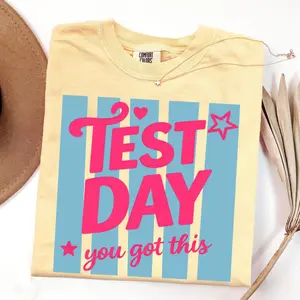 Comfort Colors Test Day Shirt, Matching State Testing Shirts, Teacher Team TShirts, Gen Z School Testing Day Tee, Testing Coordinator Shirt