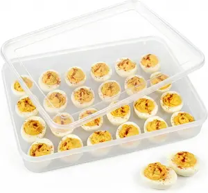 HANSGO Deviled Egg Containers with Lid, Deviled Egg Tray Holder Carrier with Lid for 24 Eggs for Home Party Kitchen Supplies Refrigerator Storage