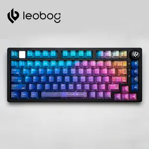 LEOBOG 115-Key Keycaps Colorful Frosted 5-Side Translucent PC Keycaps Set – UV Legends, Backlight-Friendly, OEM Profile, Compatible with Hi75C/Hi75/Hi98 Mechanical Keyboard