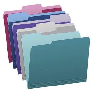 Two Tone Color File Folders, Letter Size, Assorted Colors (Teal, Violet, Gray, Navy and Burgundy), 1/3-Cut Tabs, 5 Color, 100/Box, (02315)