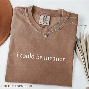 Comfort Colors I Could be Meaner T-Shirt, Funny Quote, Women Favorite Top, Apparel, Today Shirts, Summer Outfits