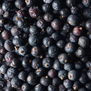 Juniper Berry