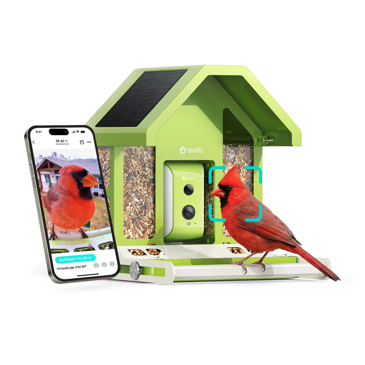 Birdfy Smart Bird Feeder with Camera - Durable Metal Body Outdoor Bird Feeder, 7.3 lbs, Solar-Powered, Squirrel Proof, Auto-Identify, Video Recording, Instant Alerts, Weatherproof, Pre-Secured Perches, Backyard Birder Gift, 1080P, Rust Resistant