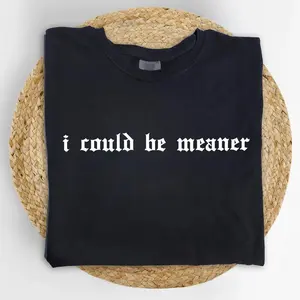 I Could Be Meaner  Shirt, Vintage Funny Humor T-shirt, Sarcastic Graphic Tee, Funny Women Clothing, Sarcasm Outfits, Funny Gift For Her