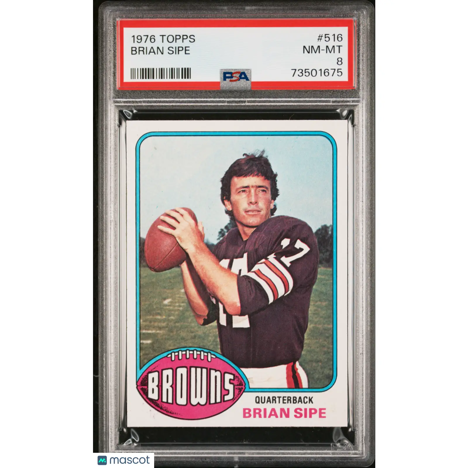 Brian Sipe PSA 1976 Topps Football #516 8 73501675