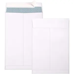 6x9 Self Seal Security Catalog Envelopes 250 Pack Small White Envelopes for Mailing Organize Storage Home Office