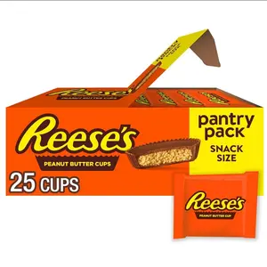 REESE'S Milk Chocolate Snack Size Peanut Butter Cups, Candy Pantry Pack, 13.75 oz (25 Pieces)