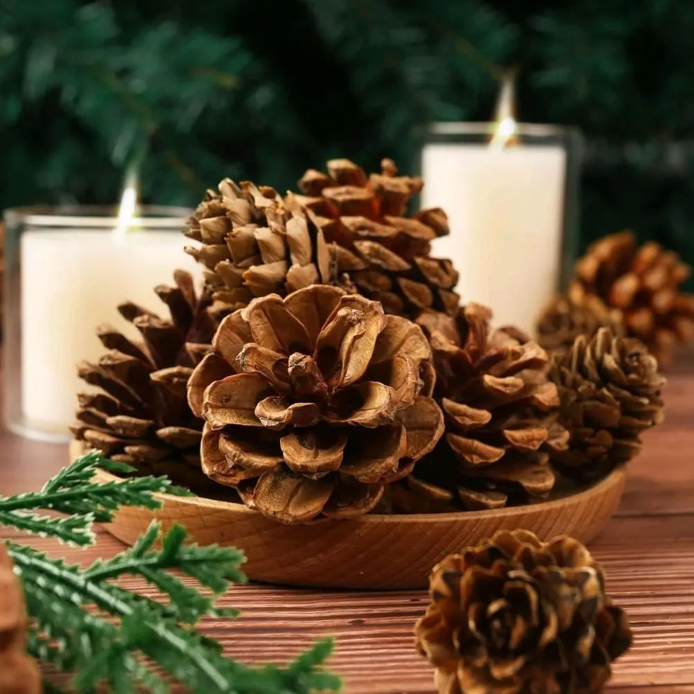 natural pine cones - 20 pc natural pine cones - 20 pc