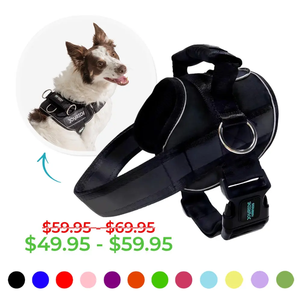 No Pull Dog Harness for Small Medium Large Dogs, ALL Solid Color Pet Vest with Side Rings & Handle, Easy On & Off Design, 13 Customizable Name Tags, 360 Reflective Strips for Night Safety, Adjustable Fit, Durable Dog Harness | Joyride Dogs