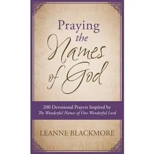 USED-Praying the Names of God: 200 Devotional Prayers Inspired by the Wonderful Names of Our Wonderful Lord by Blackmore, Leanne (Unknown)