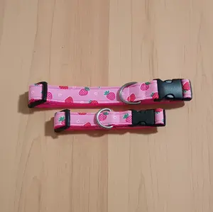 More Strawberries Dog & Cat Collar