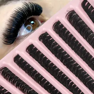 200 Cluster Mixed Length False Eyelashes Kit, Eyelash Extension Kit, Eyelash Clusters, D Curl C D Curl 0.07mm Thick Natural Dramatic Styles 10-16mm Long Friday Sale