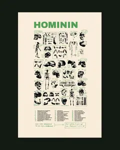 HOMININ poster