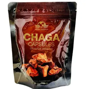 Chaga Capsules inonotus obliquus Dietary Supplement