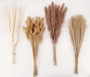 Dried Pampas Grass Decor, 100 Stems Pampas Grass Contains Bunny Tails Dried Flowers, Reed Grass Bouquet for Wedding Boho Flowers Home Table Decor, Rustic Farmhouse Party (17", White and Brown) 100 PCS