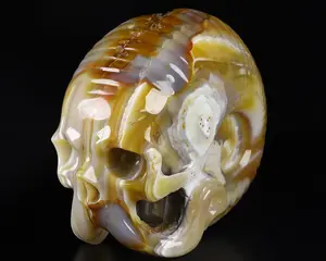 5.7" Premium Brazilian Agate Carved Crystal Octopus Skull,Super Realistic, Crystal Healing