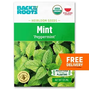 Organic Peppermint Mint Seed 1-Pack USDA Organic Heirloom Seeds for Easy Planting 125 MG Pelletized Pollinator Friendly
