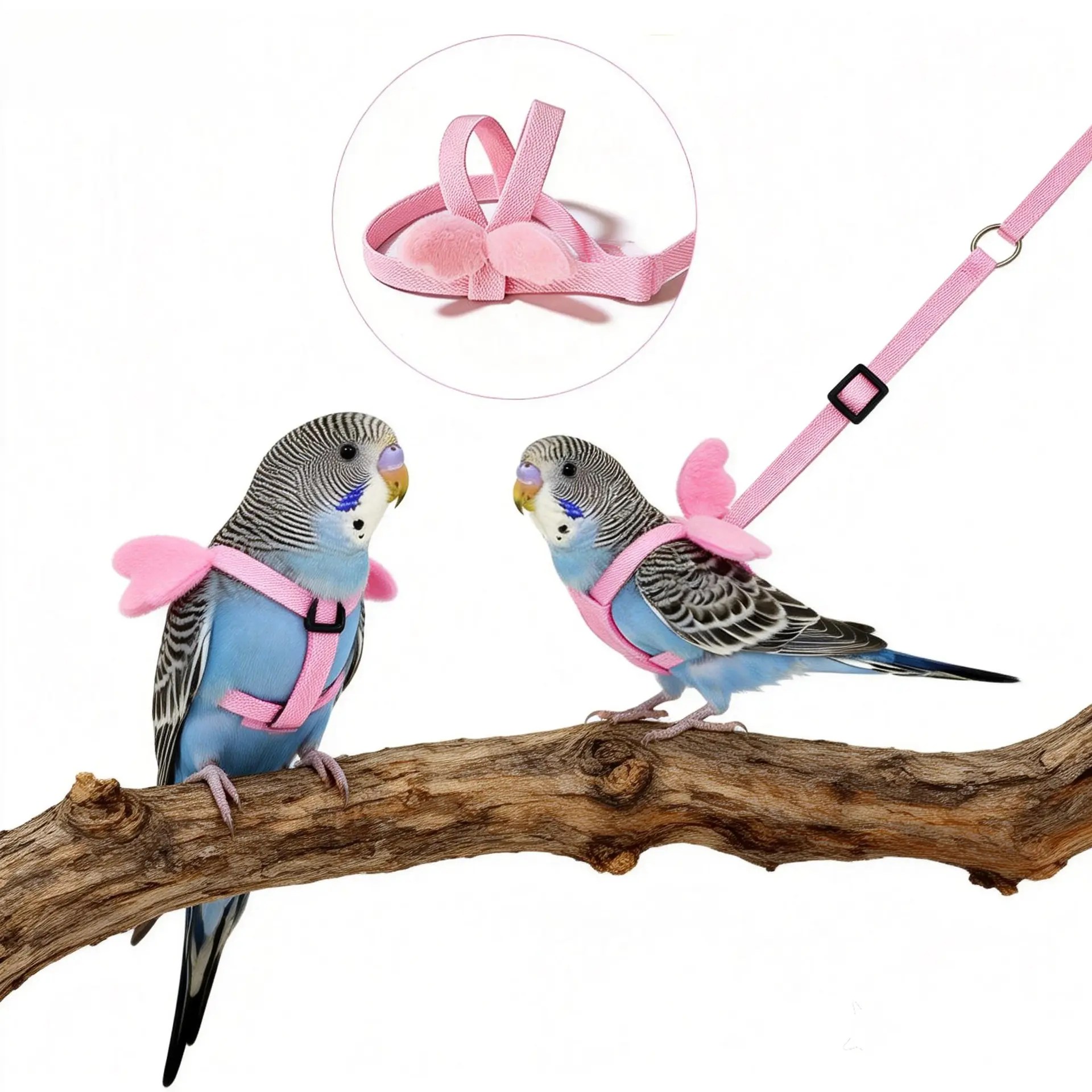 Parrot Flight Leash with Elastic Bungee Rope & Back Strap Wing Harness, Escape-Proof Outdoor Walking Lead for Small Parrots (Budgie, Cockatiel, Lovebird), Squirrel-Proof Metal Feeding Station, Large Rooftop Cage with Luxury Rolling Play Top, Polyester, Bu