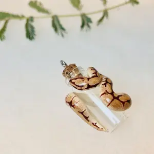 Spider Ball Python Keepsake Vial