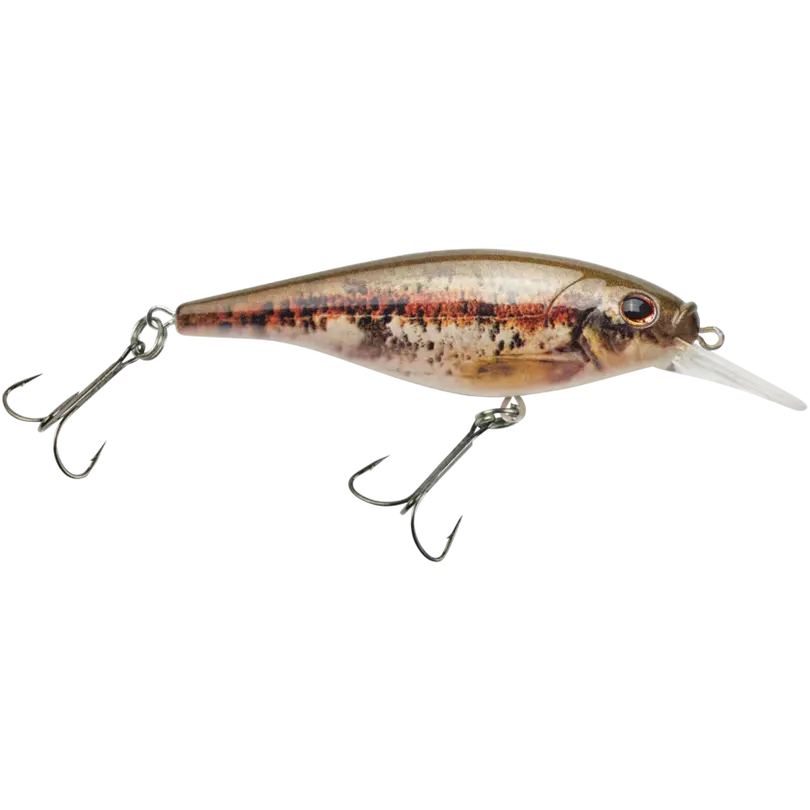 Berkley Flicker Shad Shallow Crankbait, Artificial Fishing Lure with Rattle-Action & Realistic Shape, for Casting/Trolling, Available in Multiple Weights