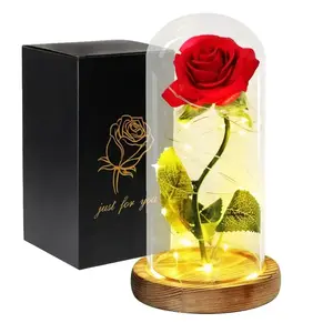 Acrylic Dome Eternal Rose Artificial Flowers Beauty and The Beast Inspired Gift for Valentine Wedding Birthday Home Decor