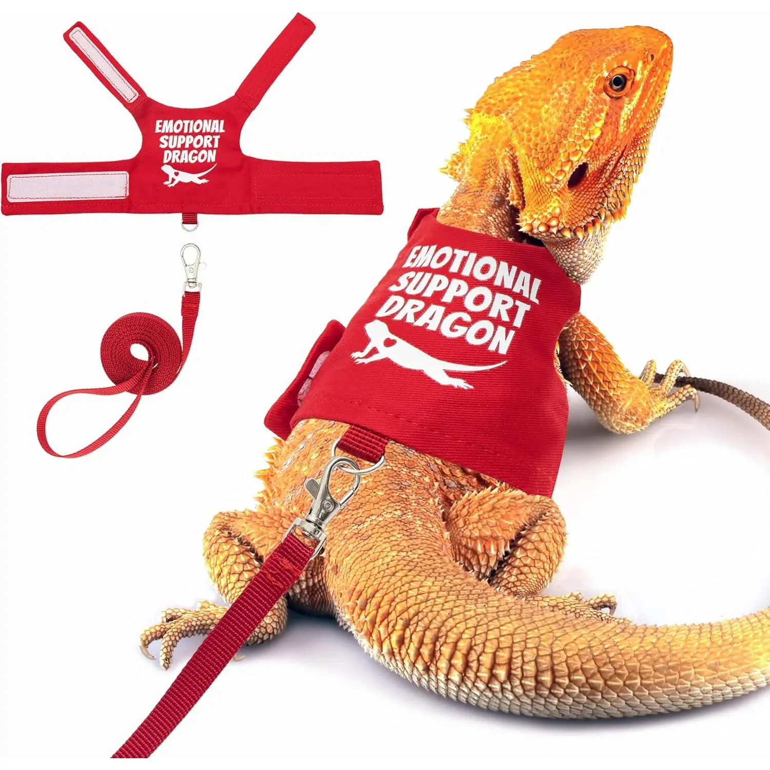 Bearded Dragon Harness & Leash Set - Adjustable, Secure Fit Escape-Proof Reptile Collar with 5 ft Lead for Outdoor Walking