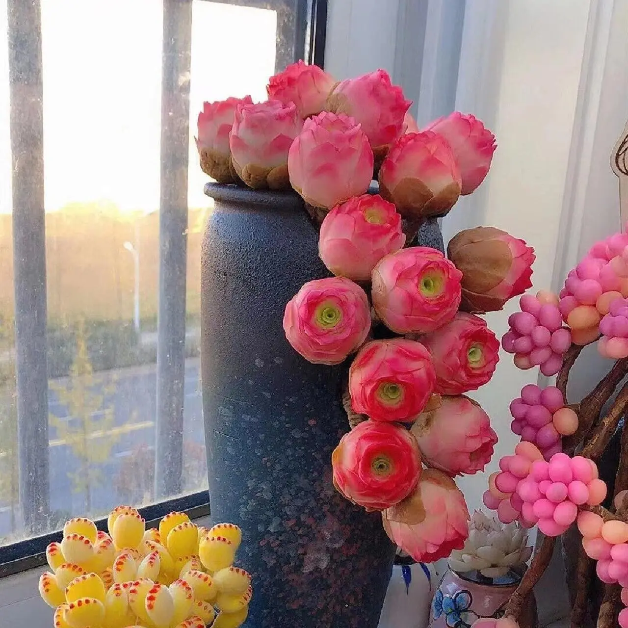 500Pcs Bagged Mountain Rose Succulent Seeds - Rare Echeveria Variety Bulk Value Pack, Full Sun Plants Great for Indoor Use, Outdoor Rock Gardens & Pots