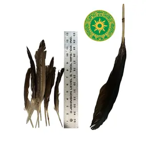 PLUMA DE AURA / TINOZA