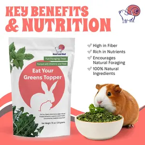 Eat Your Greens Topper – Natural Foraging Treat for Rabbits, Guinea Pigs & Chinchillas