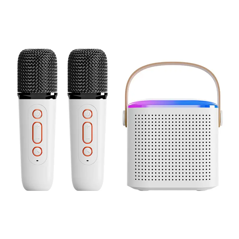 Portable Bluetooth Karaoke Stereo Speaker with 2 Wireless Mics, LED Light, Rechargeable Batteries, USB Type-C - Family Home Party Device, Compatible with All Smartphones