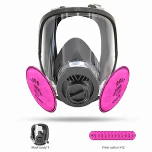 Full Face Respirator Mask with Activated Carbon, Low Allergenicity, Anti-Fog, Safety Equipment, Modern Breathing Mask, Adjustable Strap, Protective Mask