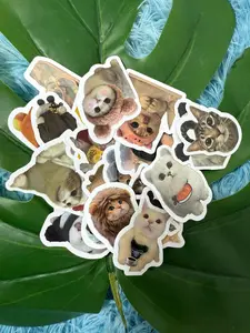 Cute Cartoon & Animal Sticker Set (5 Random Designs)