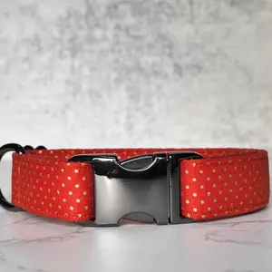 Pumpkin Spice Dog Collar