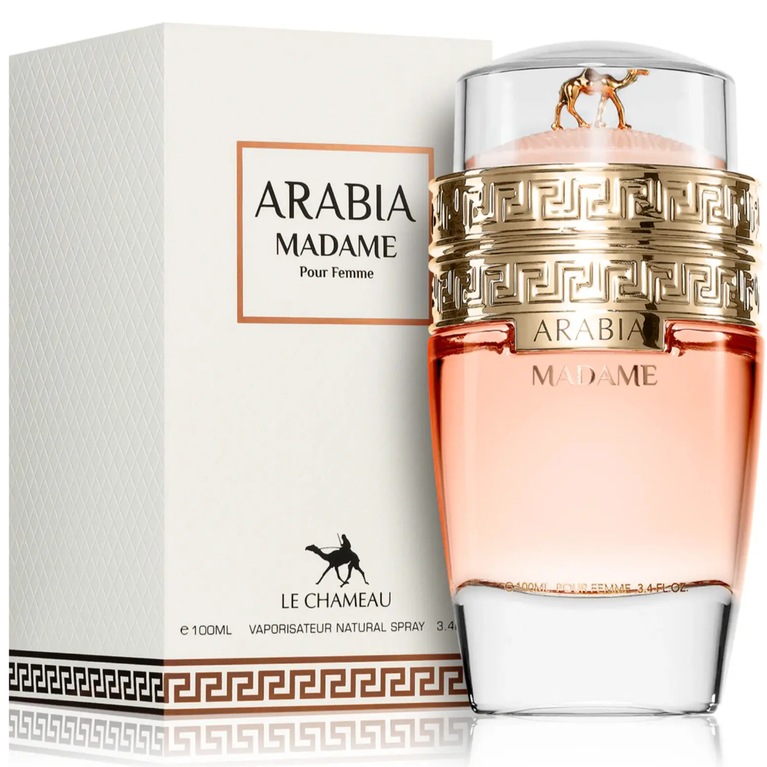 Arabia Madame EDP Perfume by Le Chameau 3.4oz Aromatic Luxurious Fragrance Aromatic Citrusy Fragrance